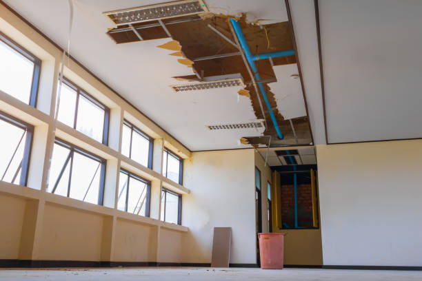 Best Water damage restoration near me  in Olivehurst, CA