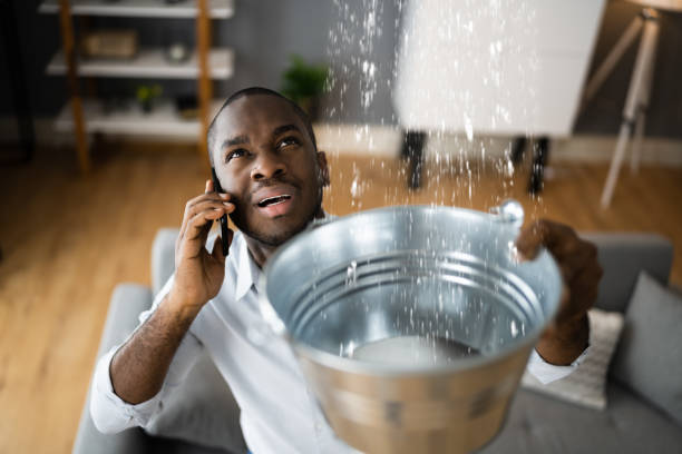 Best Ceiling water damage repair  in Olivehurst, CA
