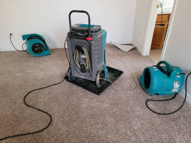 Best Basement water damage restoration  in Olivehurst, CA