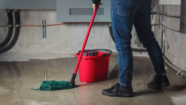 Best Flooded house restoration  in Olivehurst, CA