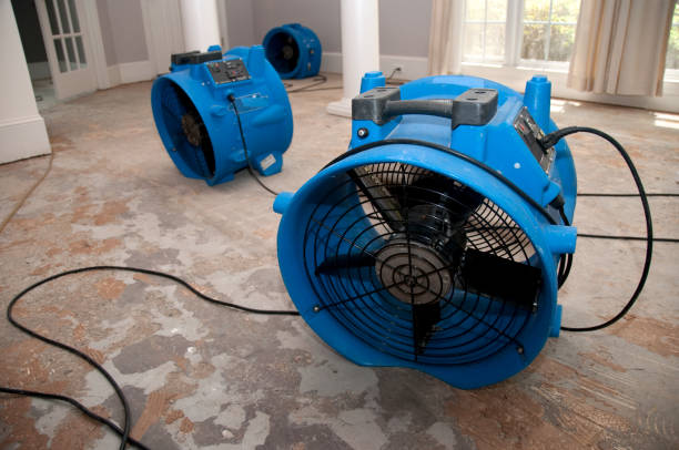 Professional Water damage restoration in Olivehurst, CA