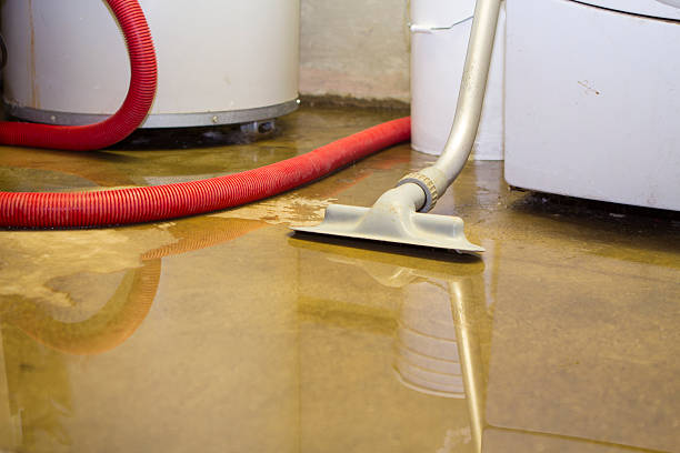 Best Flood damage cleanup  in Olivehurst, CA