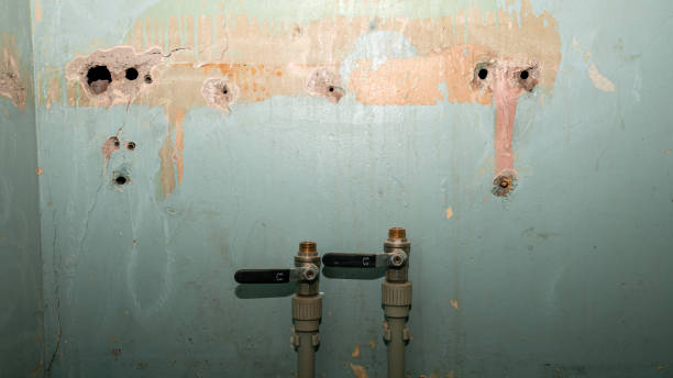 Best Commercial water damage restoration  in Olivehurst, CA