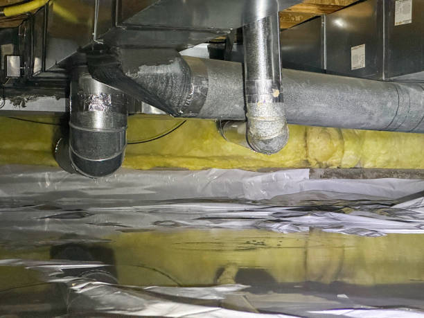 Best Mold removal after water damage  in Olivehurst, CA