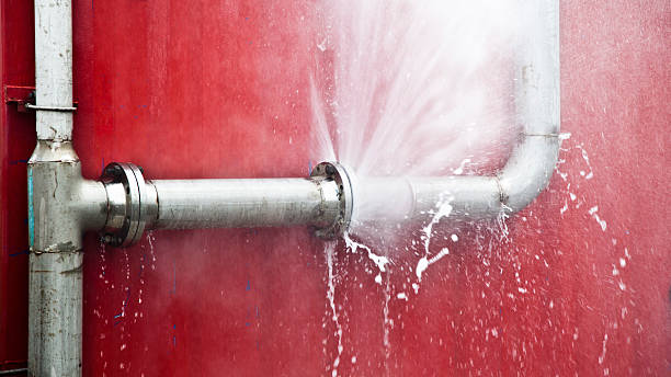 Best Flood damage cleanup  in Olivehurst, CA